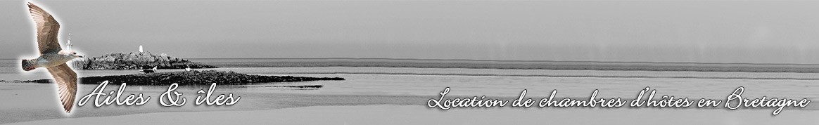 Ailes & îles 