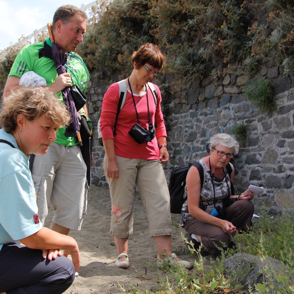 Atelier Terra Maris 