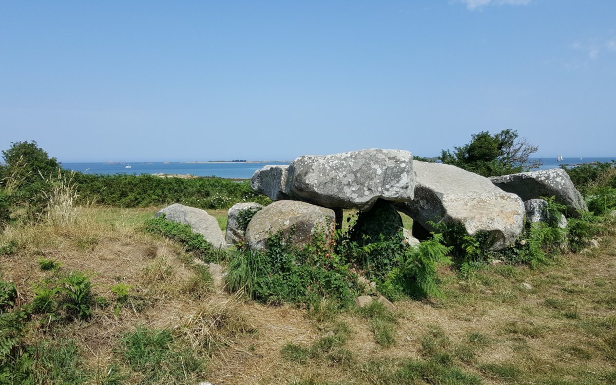 L'allée couverte de Men Ar Romped à Kerbors, un témoignage du Néolithique face au Jaudy